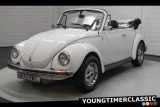 Volkswagen Brouk 1500 Convertible