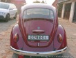 Volkswagen Brouk 11 1964