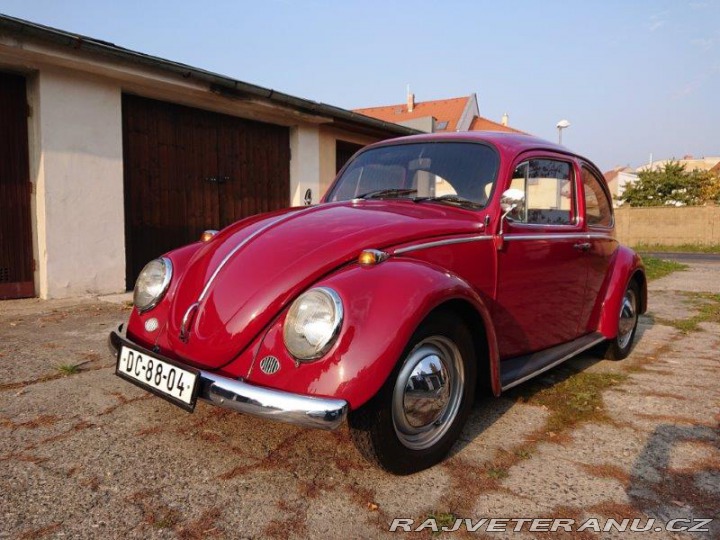 Volkswagen Brouk 11 1964