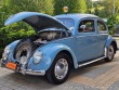 Volkswagen Brouk  1956