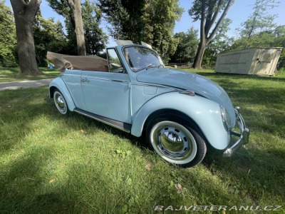 Volkswagen Brouk 1302