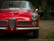 Alfa Romeo Spider  1961