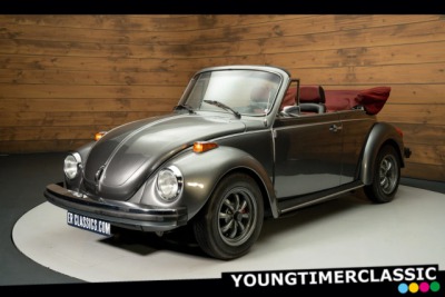 Volkswagen Brouk 1500 Convertible