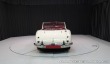 Austin Healey 100/6 1958