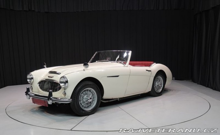 Austin Healey 100/6 1958