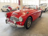 Austin Healey 100/6 BN4