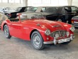 Austin Healey 100/6 BN4 1957