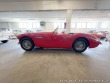 Austin Healey 100/6 BN4 1957