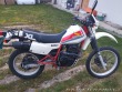 Honda Ostatní modely XL600R 1985