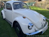 Volkswagen Brouk 