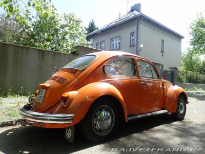 Volkswagen Brouk 1302