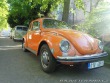 Volkswagen Brouk 1302 1971