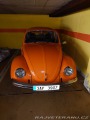 Volkswagen Brouk 