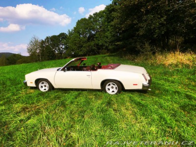 Oldsmobile Cutlass Convertible ( Cabrio)