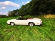 Oldsmobile Cutlass Convertible ( Cabrio) 1979