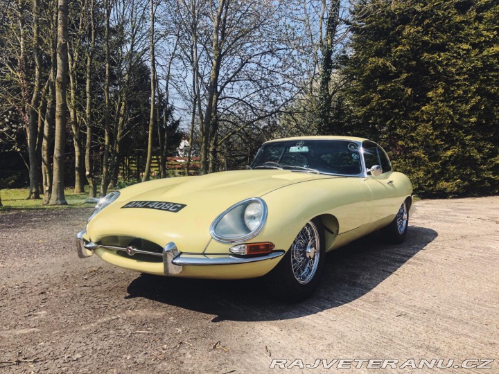 Jaguar E-Type Series 1 (1) 1965