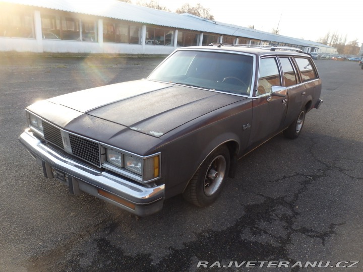 Oldsmobile Cutlass 5.0 Kombi 1983