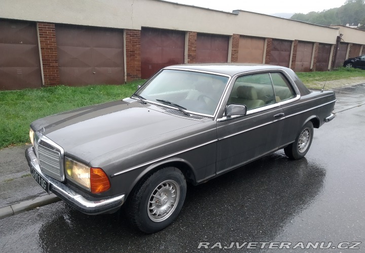 Mercedes-Benz 230 W123 CE 230 1981