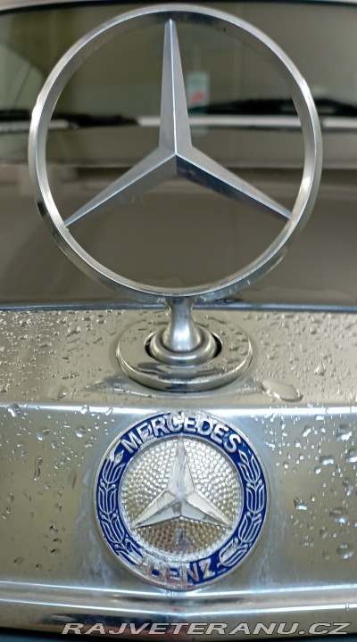 Mercedes-Benz 230 W123 CE 230 1981