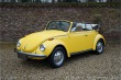 Volkswagen Brouk Convertible