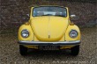 Volkswagen Brouk Convertible
