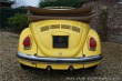 Volkswagen Brouk Convertible
