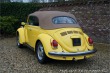 Volkswagen Brouk Convertible