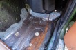 Datsun 240Z - PRODÁNO