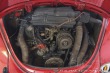 Volkswagen Brouk Convertible