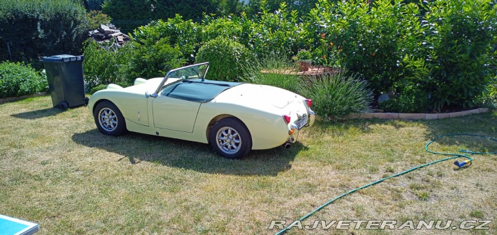 Austin Healey Sprite MK I 1959