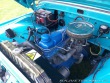 Ford F 100