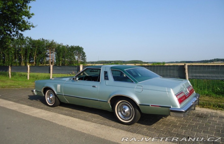 Ford Thunderbird Torino Bird 7 1978