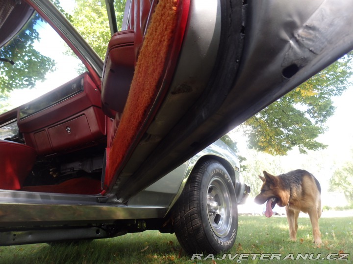 Chevrolet Nova Concours Coupe 1977