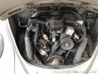 Volkswagen Brouk