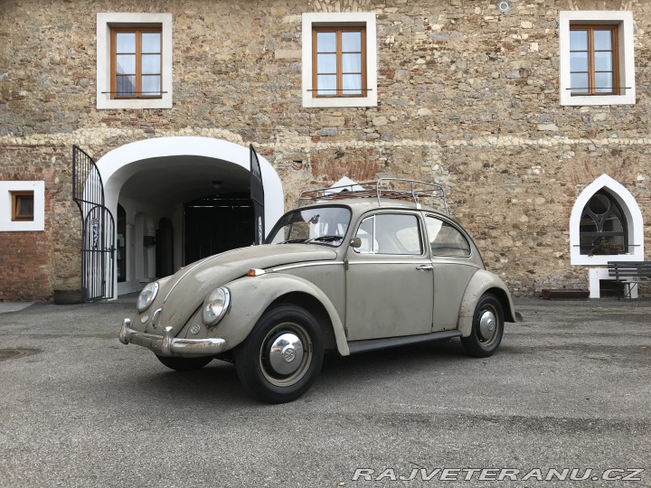 Volkswagen Brouk 1966
