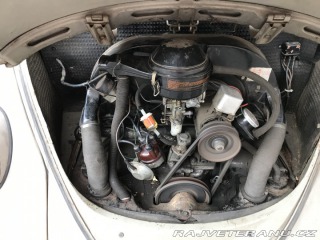Volkswagen Brouk 1966