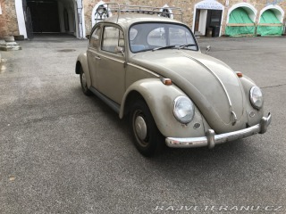 Volkswagen Brouk 1966