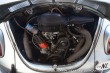 Volkswagen Brouk 1300 Weltmeister