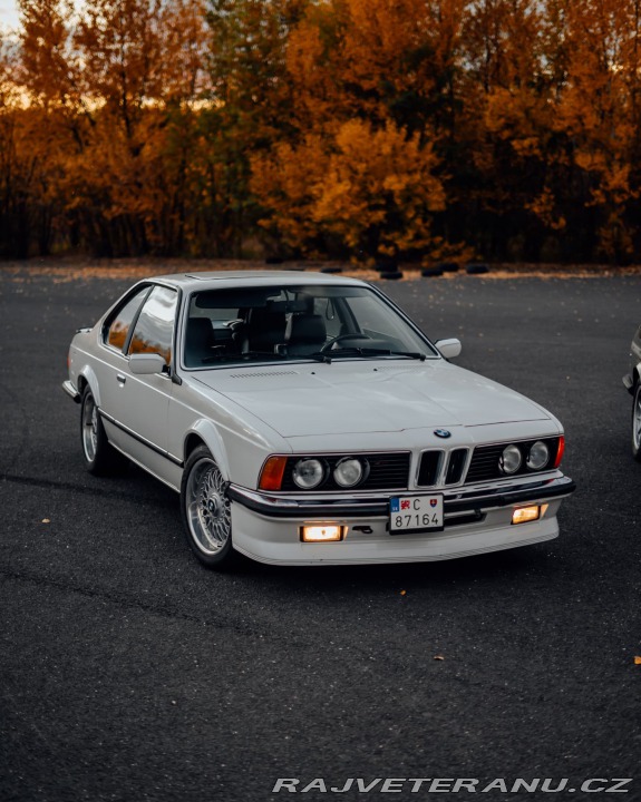 BMW 6 E24 M635 CSi 1984