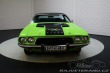 Dodge Challenger RT