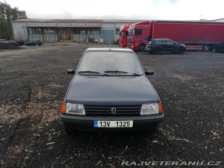 Peugeot 205  1989