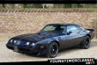 Pontiac Firebird Trans AM 1981