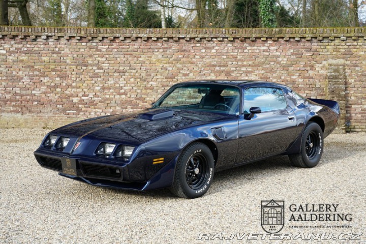 Pontiac Firebird Trans AM 1981