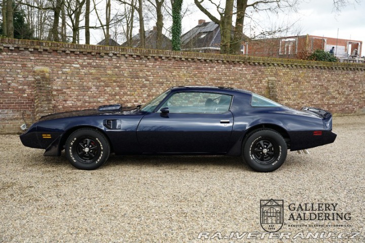 Pontiac Firebird Trans AM 1981