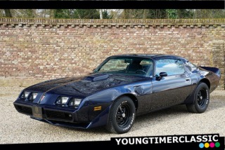Pontiac Firebird Trans AM 1981