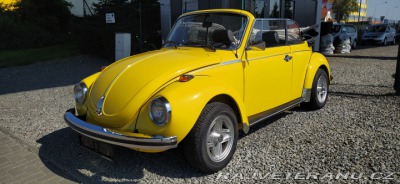 Volkswagen Brouk 1.6