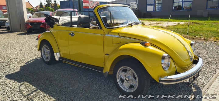 Volkswagen Brouk 1.6 1973