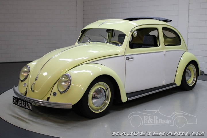 Volkswagen Brouk 1200 Custom