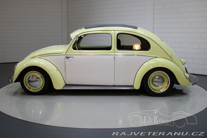 Volkswagen Brouk 1200 Custom 1958