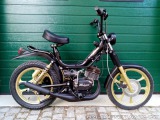   MALAGUTI FIFTY HF